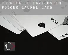 Corrida de cavalos em  Pocono Laurel Lake