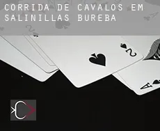 Corrida de cavalos em Salinillas de Bureba