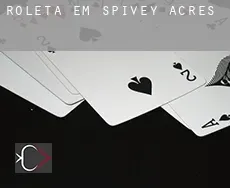 Roleta em Spivey Acres