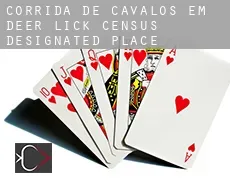 Corrida de cavalos em  Deer Lick