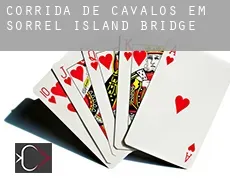 Corrida de cavalos em  Sorrel Island Bridge