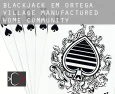 Blackjack em  Ortega Village Manufactured Home Community