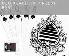 Blackjack em  Priest Pond