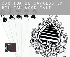 Corrida de cavalos em  Belleau Wood East