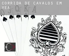 Corrida de cavalos em  Yea