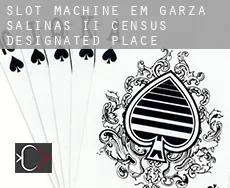 Slot machine em  Garza-Salinas II