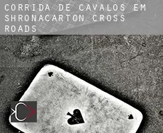 Corrida de cavalos em Shronacarton Cross Roads