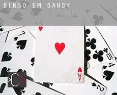 Bingo em  Sandy