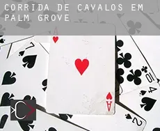 Corrida de cavalos em  Palm Grove