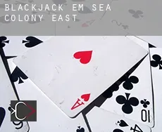 Blackjack em  Sea Colony East