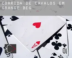 Corrida de cavalos em Grange Beg