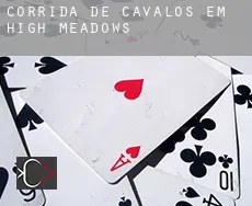 Corrida de cavalos em  High Meadows