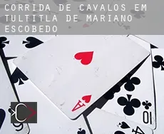 Corrida de cavalos em Tultitlán