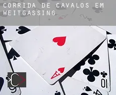 Corrida de cavalos em Weitgassing
