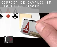 Corrida de cavalos em  Highfield-Cascade