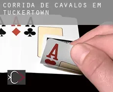 Corrida de cavalos em  Tuckertown