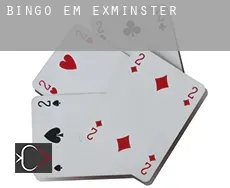 Bingo em  Exminster