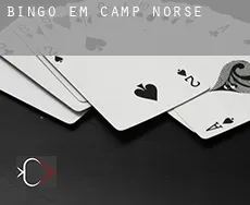 Bingo em  Camp Norse