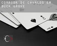 Corrida de cavalos em  Buck Grove