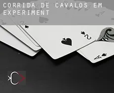 Corrida de cavalos em  Experiment