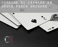 Corrida de cavalos em  Green Peach Orchard