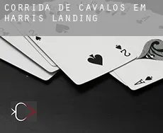 Corrida de cavalos em Harris Landing