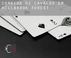 Corrida de cavalos em  Hillbrook Forest