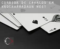 Corrida de cavalos em Knockarradaun West