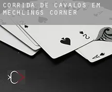 Corrida de cavalos em  Mechlings Corner