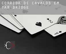 Corrida de cavalos em Tar Bridge