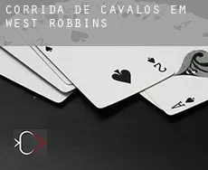 Corrida de cavalos em  West Robbins