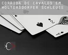 Corrida de cavalos em Woltersdorfer Schleuse