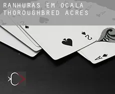 Ranhuras em Ocala Thoroughbred Acres