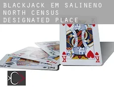 Blackjack em  Salineno North