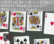 Corrida de cavalos em  Keeler Farm