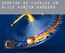 Corrida de cavalos em  Alice Winter Gardens