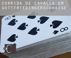 Corrida de cavalos em Gottfriedingerschwaige