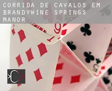 Corrida de cavalos em  Brandywine Springs Manor