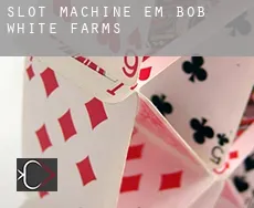 Slot machine em  Bob White Farms