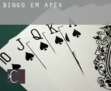 Bingo em  Apex