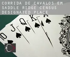 Corrida de cavalos em  Saddle Ridge