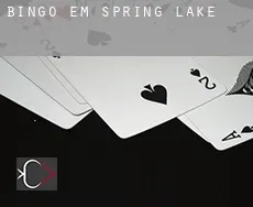 Bingo em Spring Lake