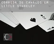 Corrida de cavalos em  Little Stukeley
