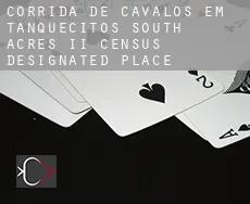 Corrida de cavalos em  Tanquecitos South Acres II