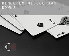 Bingo em  Middletown Downs
