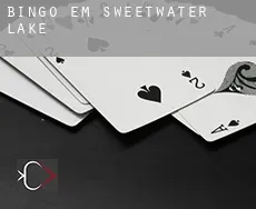 Bingo em  Sweetwater Lake