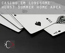 Casino em  Lonesome Hurst Summer Home Area