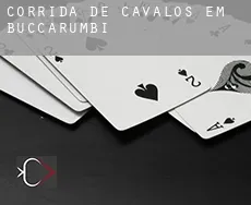 Corrida de cavalos em  Buccarumbi