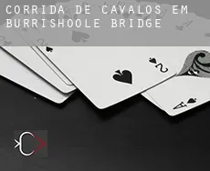 Corrida de cavalos em Burrishoole Bridge
