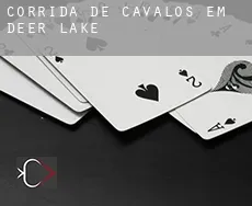 Corrida de cavalos em  Deer Lake